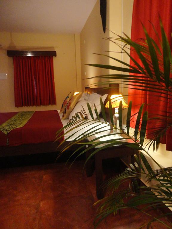 Готель The Yuppi Hippi Hideout Анжуна Номер фото